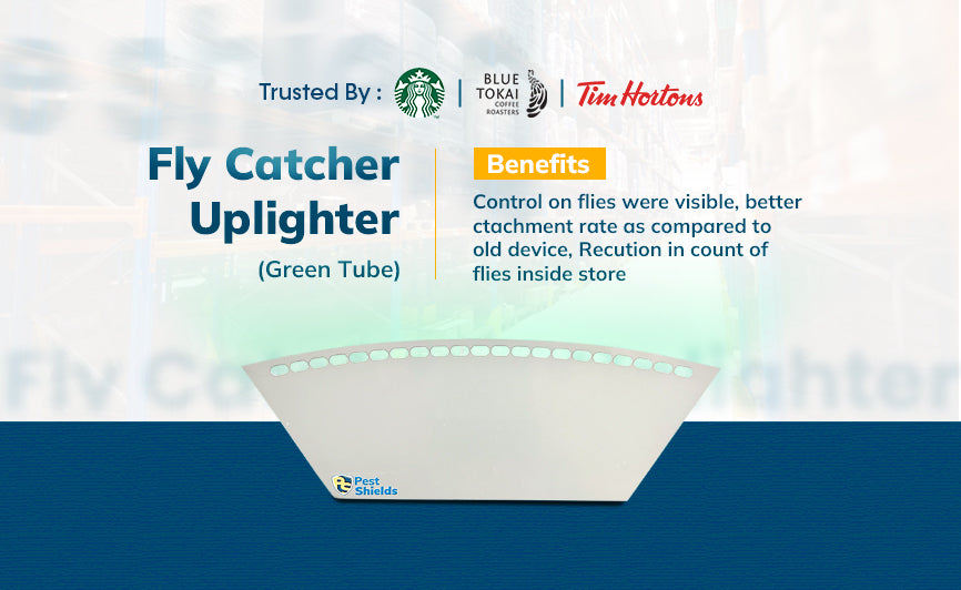 Fly Catcher - Uplighter (Green Tube)