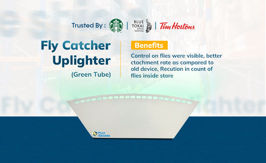 Fly Catcher - Uplighter (Green Tube)