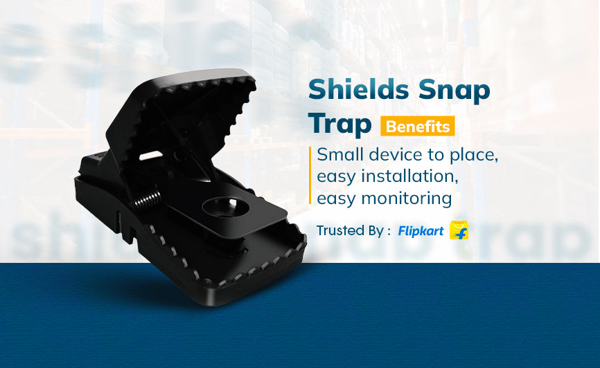 Installation of shields snap trap